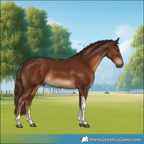 Horse Color:Gray Chestnut Tobiano Rabicano 