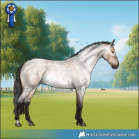 Horse Color:Gray Bay Roan Dun 