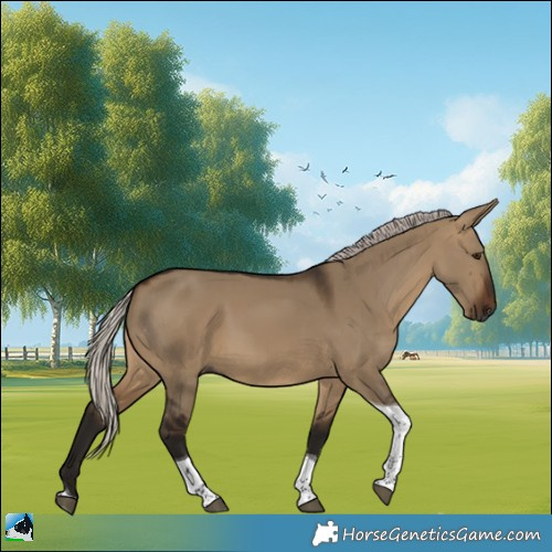 Horse Color:Gray Silver Bay Dun Tobiano 