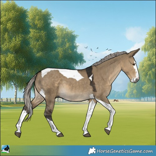 Horse Color:Gray Silver Smoky Grullo Splash Tobiano 
