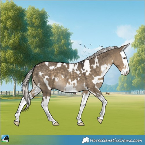 Horse Color:White Spotted Silver Smoky Grullo Splash 