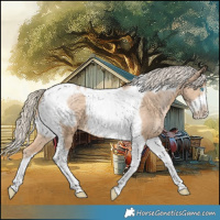 Horse Color:Chocolate Palomino Pearl Tobiano Frame 
