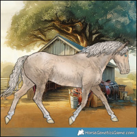 Horse Color:Chocolate Palomino Pearl Tobiano 