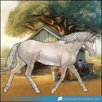 Horse Color:Chocolate Palomino Roan Pearl Frame 