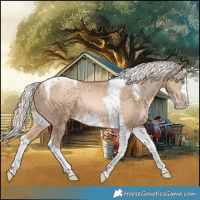 Horse Color:Chocolate Palomino Pearl Tobiano Frame 