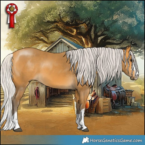 Horse Color:Silver Buckskin 