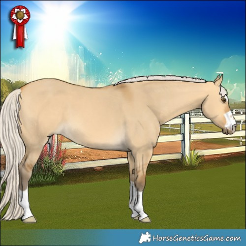 Horse Color:Silver Buckskin Dun 