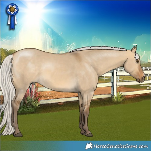 Horse Color:Silver Buckskin Dun Sabino 