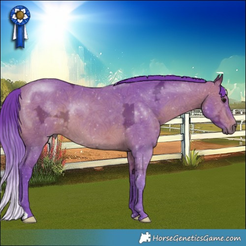 Horse Color:Watercolor Bay Ice 