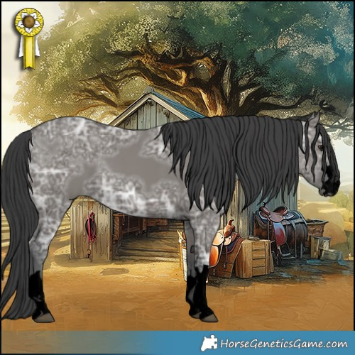 Horse Color:Void Grullo Ice