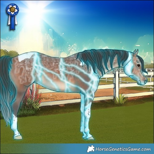 Horse Color:Thunderstruck Bay Ice Tobiano Rabicano