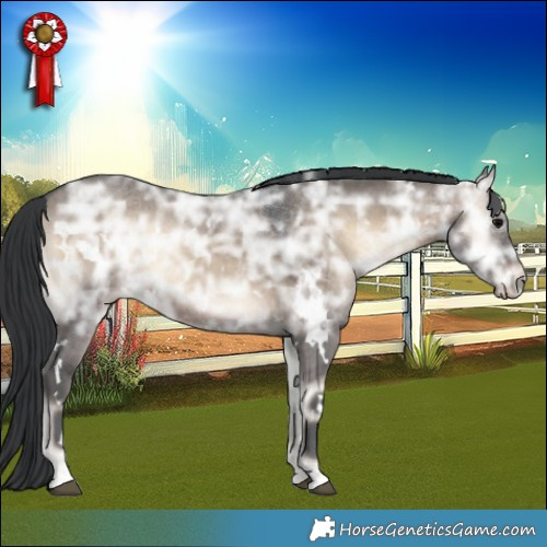 Horse Color:White Spotted Brown Ice Onyx 