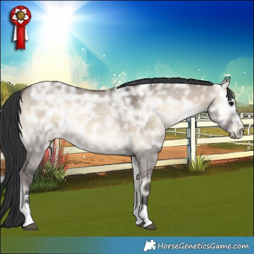 Horse Color:Bay Ice Onyx 