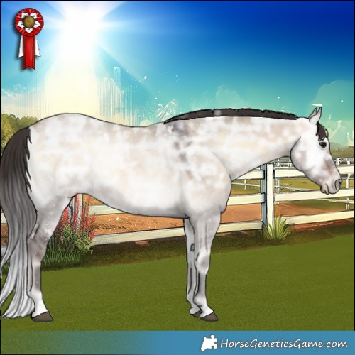 Horse Color:White Spotted Bay Ice Onyx 