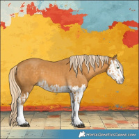 Horse Color:Palomino Splash  and Palomino Splash 