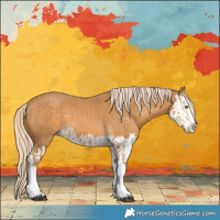 Horse Color:Palomino Splash  and Palomino Splash 