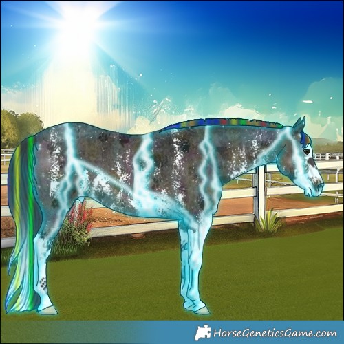 Horse Color:Painted Thunderstruck Midnight Buckskin Ice Sabino Splash 
