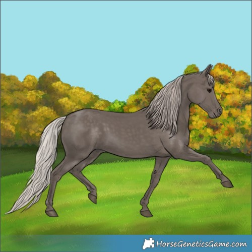 Horse Color:Silver Black 