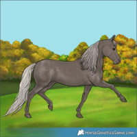 Horse Color:Silver Black