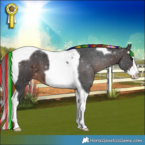 Horse Color:Painted Brown Splash Tobiano 