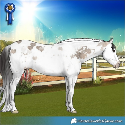 Horse Color:Brown Ice Dun Splash Tobiano 