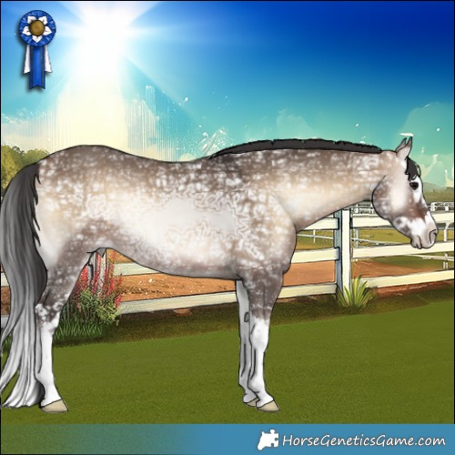 Horse Color:Bay Ice Onyx Splash 
