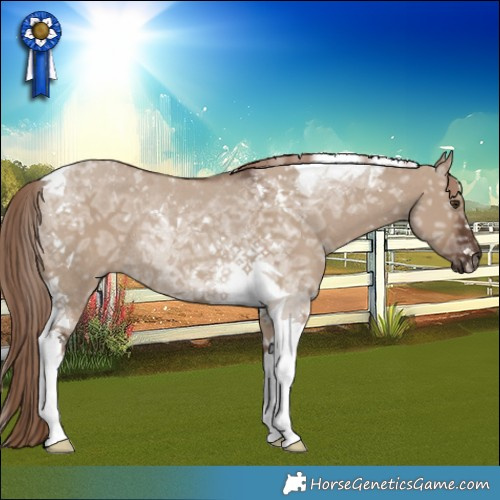 Horse Color:Liver Red Dun Ice Tobiano Rabicano 