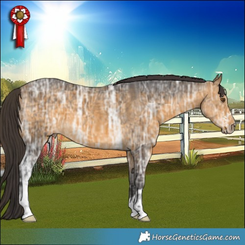 Horse Color:Buckskin Ice 