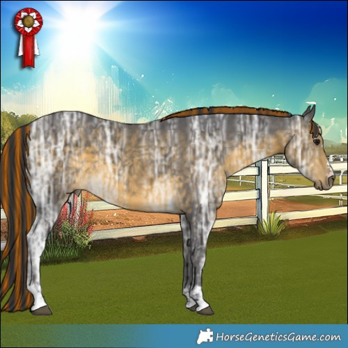 Horse Color:Painted Buckskin Ice Rabicano 
