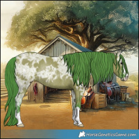 Horse Color:Watercolor Grullo Ice Rabicano 