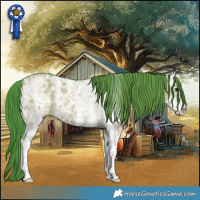 Horse Color:Watercolor Grullo Ice Sabino Rabicano 