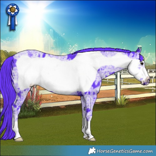 Horse Color:Watercolor Black Ice Frame 