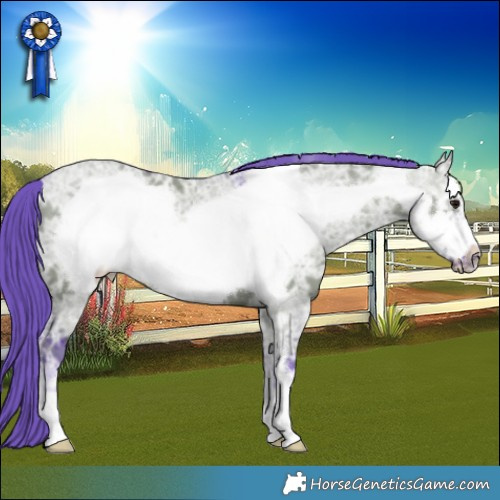 Horse Color:Watercolor Grullo Ice Frame 