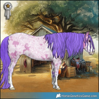 Horse Color:Watercolor Grullo Ice Appaloosa 