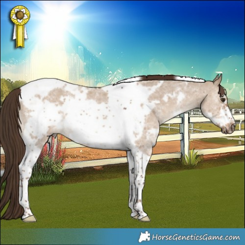 Horse Color:Liver Red Dun Sabino Tobiano Frame 