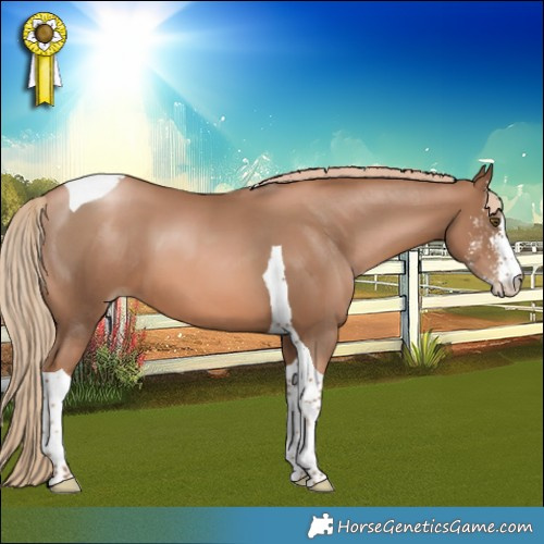 Horse Color:Liver Chestnut Pearl Sabino Tobiano 
