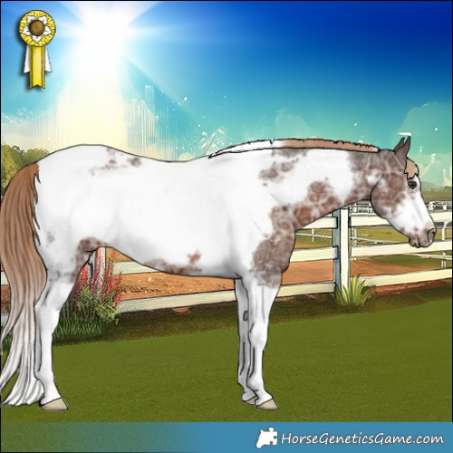 Horse Color:Liver Chestnut Ice Sabino Tobiano Frame 