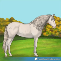 Horse Color:Smoky Creme 