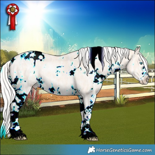 Horse Color:White Spotted Silver Perlino Ice Rabicano 