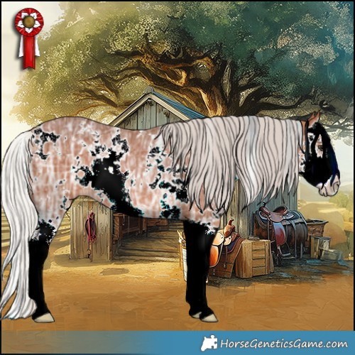 Horse Color:White Spotted Silver Bay Ice Splash Rabicano