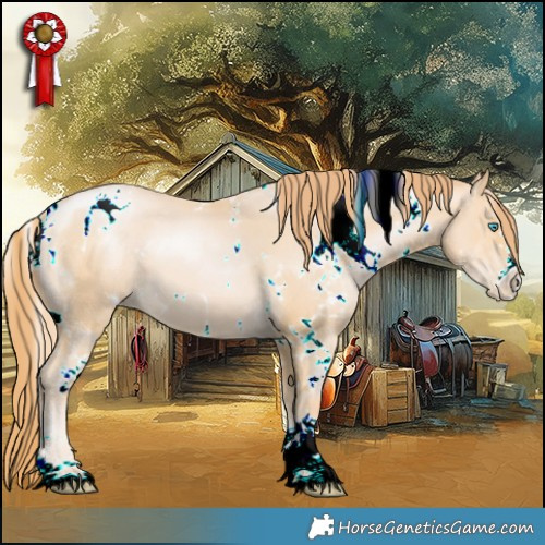 Horse Color:White Spotted Buckskin Pearl 