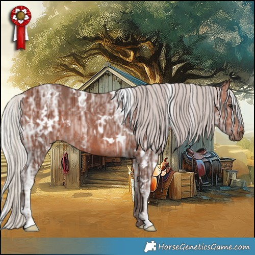 Horse Color:White Spotted Silver Bay Ice Rabicano 