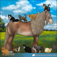 Horse Color:Gray Liver Chestnut Pearl Mushroom