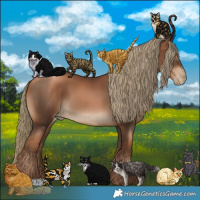 Horse Color:Gray Liver Chestnut Pearl Mushroom