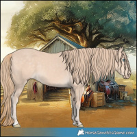 Horse Color:Perlino 