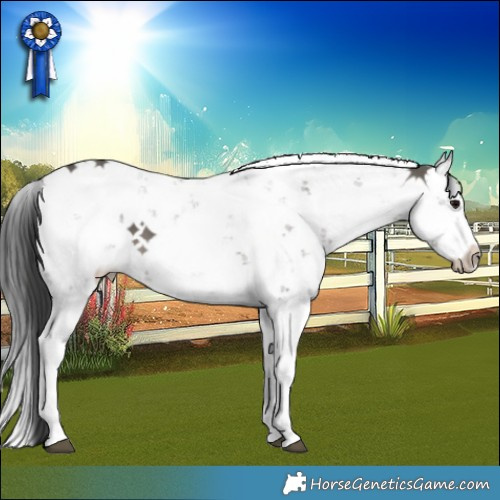 Horse Color:Grullo Sabino Brindle