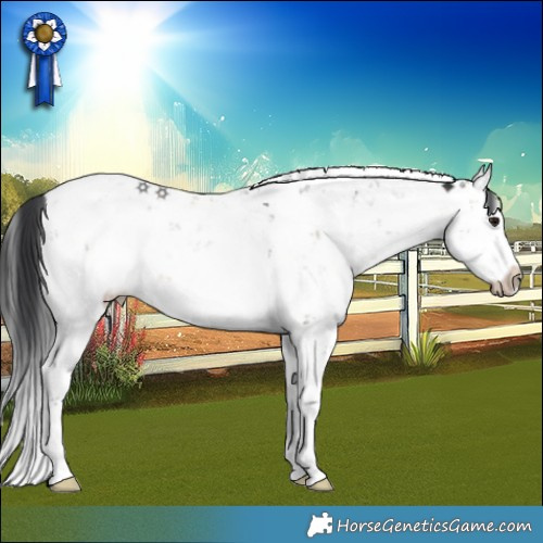 Horse Color:Brown Dun Sabino Rabicano 