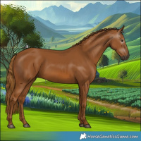 Horse Color:Gray Chestnut 