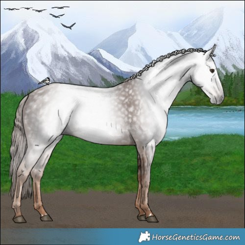 Horse Color:Gray Chestnut
