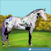 Horse Color:Nacre Watercolor White Spotted Bay Ice Dun Tobiano 